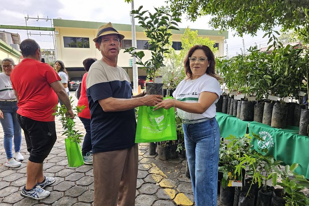 Entrega de 1,000 arbolitos frutales y ornamentales