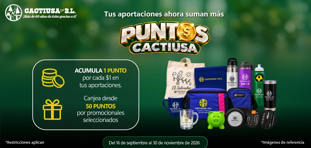 Puntos cactiusa